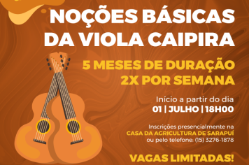CURSO NOÇÕES BÁSICAS DE VIOLA CAIPIRA